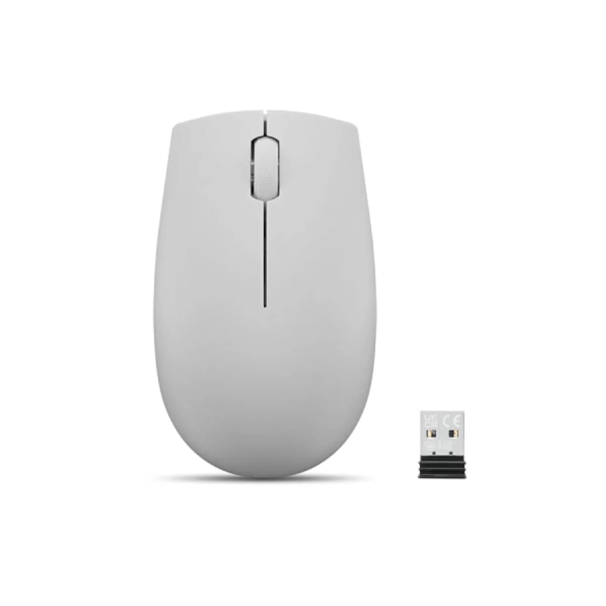 LENOVO 300 WIRELESS COMPACT MOUSE (CLOUD GREY) WITH BATTERY CLOUD GREY