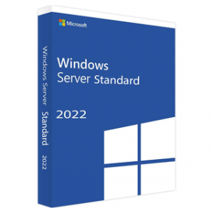 MICROSOFT WINDOWS SVR STD 2022 64BIT FRENCH 1PK DSP OEI DVD 16 CORE – Image 1