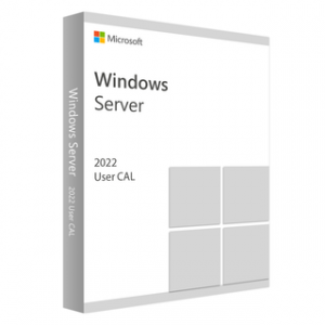 MICROSOFT WINDOWS SERVER CAL 2022 FRENCH 1PK DSP O – Image 1
