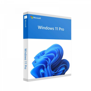 MICROSOFT WIN 11 PRO 64BIT FRENCH 1PK DSP OEI DVD – Image 1