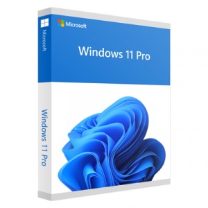 MICROSOFT WIN 11 PRO 64BIT ENG INTL 1PK DSP OEI DV – Image 1