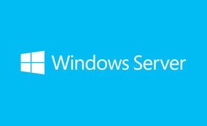 MS WINDOWS SVR STD 2019 64BIT FRENCH 1PK DSP OEI DVD 16 CORE – Image 1